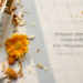 Nourish Mantra- Ayurvedic care for holistic wellness!